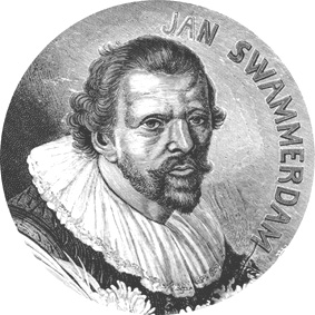 jan_swammerdam