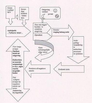 How we increase our mental ability photo 3